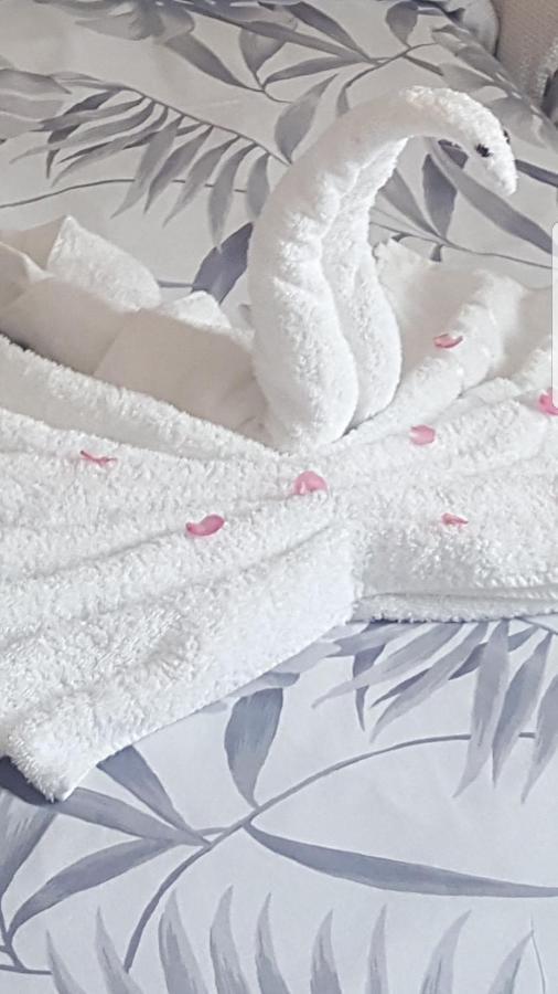 코페르 Apartma Eli2 아파트 외부 사진